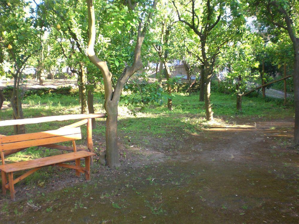סורנטו Chalet Paradiso מראה חיצוני תמונה